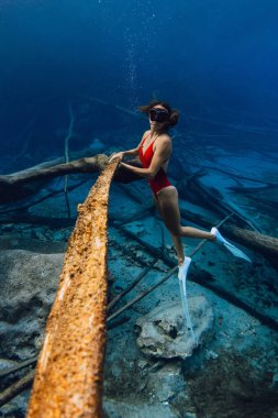 Woman freediver posing underwater and holding sunken logs in the lake. Freediving in blue crystal lake clipart