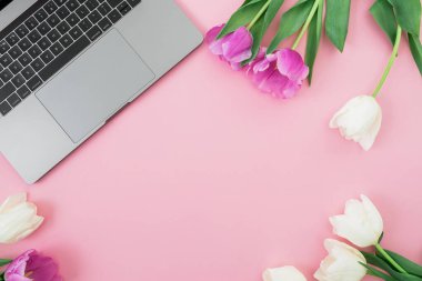 Gri dizüstü bilgisayar ve pembe arka planda lale çiçekleri. Düz yatıyordu. Üst Manzara. Kadınsı iş konsepti.