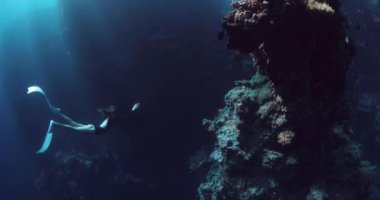 Özgür bir kadın okyanusta, kayaların arasında, su altında mercanlar arasında yüzüyor. Yüksek kalite 4k görüntü