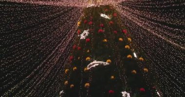 Gece şehrindeki Noel ağacı. Geceleyin Noel ağacının çok güzel bir görüntüsü. Yüksek kalite 4k görüntü