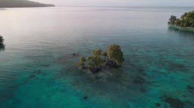 Endonezya 'da sudaki mangrov ağaçları ve gündoğumu ya da gün batımı güneş ışığı olan okyanus manzarası. Yüksek kalite 4k görüntü