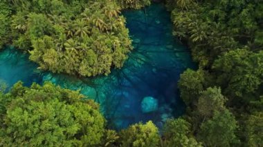 Endonezya 'daki en şeffaf göl ve kristal mavi tatlı su. İHA görüntüsü. Yüksek kalite 4k görüntü