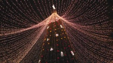 Gece şehrindeki Noel ağacı. Geceleyin Noel ağacının çok güzel bir görüntüsü. Yüksek kalite 4k görüntü