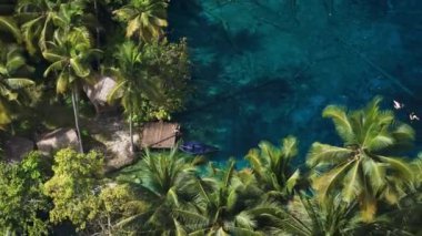 Endonezya 'da güneşli bir günde kristal mavi su ve palmiye ağaçları. İHA görüntüsü. Hava görüntüsü. Yüksek kalite 4k görüntü
