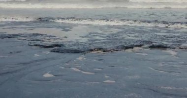 Okyanus kıyısındaki bir tanker kazasından sonra petrol. Petrol yakıtları kumsalı kirletti ve yok etti. Yüksek kalite 4k görüntü