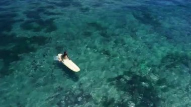 Mavi okyanusta sörf tahtasında bir kadın. Sörf yaparken kadın görüntüsü. Yüksek kalite 4k görüntü
