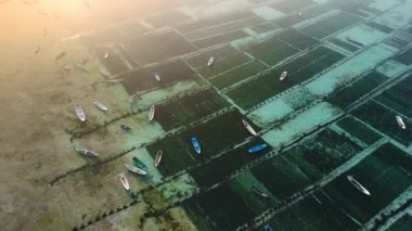 Endonezya 'daki Lembongan Adası' ndaki deniz yosunu çiftliğinin insansız hava aracı görüntüsü. Sabah güneşi ve sisli yosun çiftliği. Yüksek kalite 4k görüntü