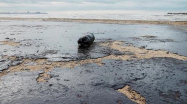 Okyanus kıyısındaki bir tanker kazasından sonra petrol. Petrol yakıtları kumsalı kirletti ve yok etti. Yüksek kalite 4k görüntü
