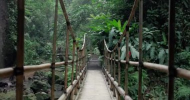 Tropikal yağmur ormanlarında yiyecek yolunda bambu köprüsü ile yürüyen ilk kişi. Yüksek kalite 4k görüntü