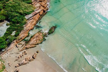 Brezilya 'da kayaları ve saydam okyanusu olan bir sahil. Florianopolis 'teki Barra da Lagoa' nın hava manzarası