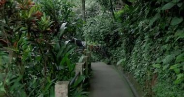 Tropikal yağmur ormanlarında bambu köprüsü ile yolda yürüyen ilk kişi. Yüksek kalite 4k görüntü