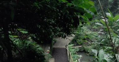 Tropikal yağmur ormanlarında bambu köprüsü ile yolda yürüyen ilk kişi. Yüksek kalite 4k görüntü