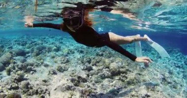 Kadın serbest dalgıç güneşli bir günde tropikal denizde yüzer ve dinlenir. Yüksek kalite 4k görüntü