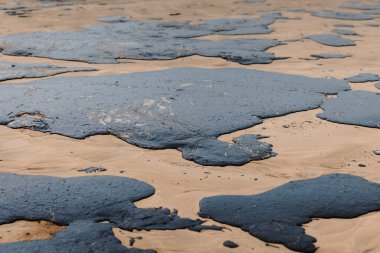 Bir tanker enkazından sonra okyanus kıyısında petrol sızıntısı. Yakıt sızıntısı ve kirli plaj, ekolojik felaket