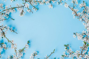 Mavi arka planda çiçek açan dallar. Düz yerde, üst tarafta. Beyaz çiçeklerle bahar zamanı.