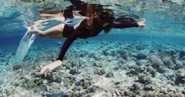 Kadın serbest dalgıç güneşli bir günde tropikal denizde yüzer ve dinlenir. Yüksek kalite 4k görüntü