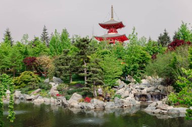 26 Nisan 2024. Krasnodar, Rusya. Krasnodar Parkı 'nda çiçek ve Budist tapınağı olan yaz Japon bahçesi.