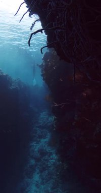 Mavi okyanusta su altında dikey kaya üzerindeki mercanlar ve arka planda freediver. Yüksek kalite 4k görüntü