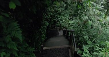 Tropikal bir ormanda merdivenden iniyor. Birinci şahıs görüşü. Yüksek kalite 4k görüntü