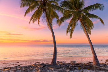 Cennet sahilinde gün batımı, palmiye ağaçları ve sessiz deniz. Doğal pastel tonlar