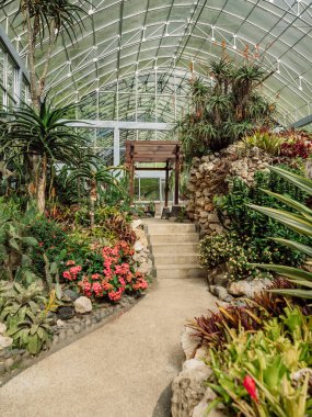 Bali adasındaki botanik parkındaki cam evde kaktüs ve sulu bahçe.