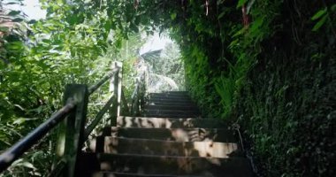 Tropikal bir ormanda merdivenden iniyor. Birinci şahıs görüşü. Yüksek kalite 4k görüntü