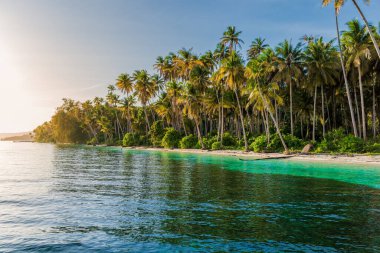 Tropikal adada palmiye ağaçları ve gündoğumu güneşli cennet tropikal plajı. Seyahat tatil beldesi.