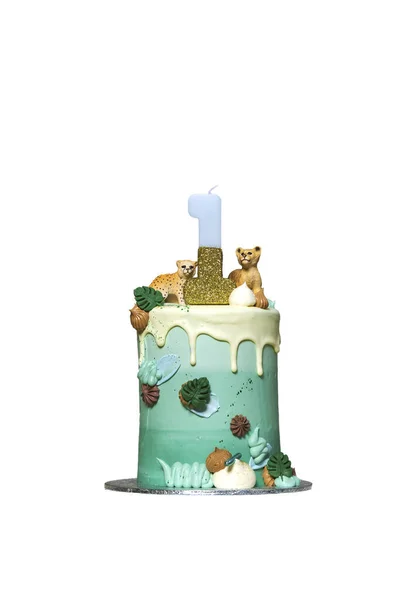One Year Birthday Smash Cake Isolated White Background Decorative Birthday — Fotografia de Stock