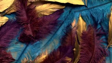 colorful feather close-up macro slow motion. Selective focus, blurred focus, abstraction. slow motion top view tropical colors beauty