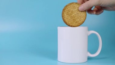 Eating normal grain healthy cookie with milk, female hand dipping cookies in milk on blue background, dairy product, snack, morning tasty food white cup