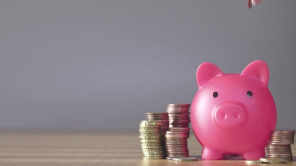 Piggy Bank Business Standing Pile Coins Concept Hand Putting Coin — Vídeo de Stock