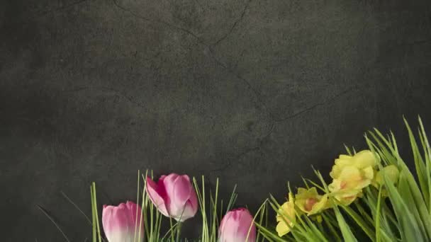 Fleurs Printemps Tulipes Roses Marguerites Jaunes Vue Dessus Avec Couché — Video