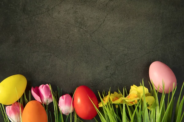 Пасхальные Яйца Свежей Зеленой Траве Сером Бетонном Фоне Красочные Розовые — стоковое фото