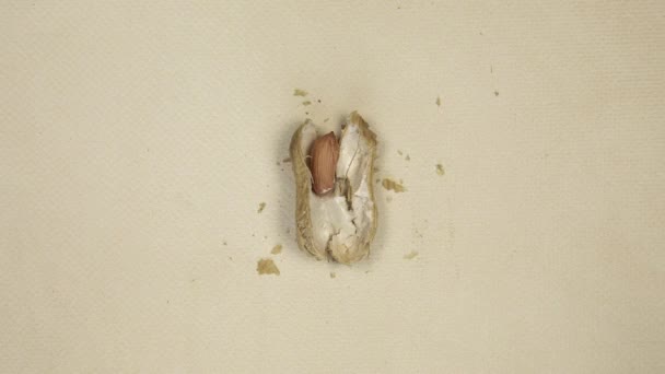 View Peeling Roasted Peanuts Shells Close Yellow Background Peeling Earthy — Stockvideo