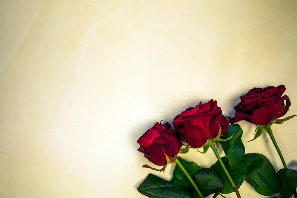 Composición Flores Marco Hecho Flores Rosas Corazón Rojo Sobre Fondo —  Fotos de Stock