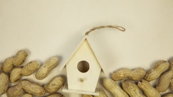 Beautiful Birdhouse Beige Background Peeled Peanuts Top View Space Text — Video