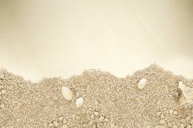 Beach sand texture with sea shells. Sandy beach for background. Top view bounty island copy space background texture, Summer Holiday concept tropical beauty