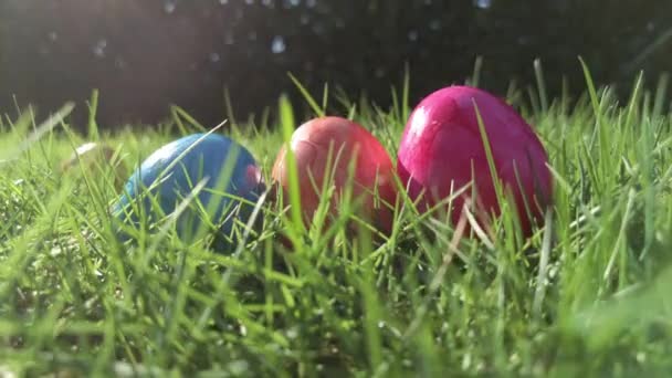 Easter Eggs Hidden Green Grass Ready Easter Egg Hunt Game — Stockvideo
