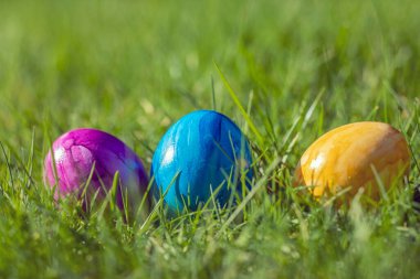 Painted decorated colorful Easter eggs in Fresh Green Grass with copy space, spring Happy Easter concept. Beautiful nature meadow Holiday, Easter, egg hunting background close up