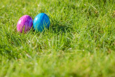 Painted decorated colorful Easter eggs in Fresh Green Grass with copy space, spring Happy Easter concept. Beautiful nature meadow Holiday, Easter, egg hunting background close up