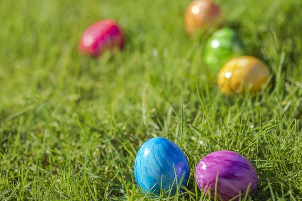 Painted decorated colorful Easter eggs in Fresh Green Grass with copy space, spring Happy Easter concept. Beautiful nature meadow Holiday, Easter, egg hunting background close up