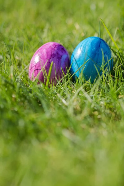 stock image Painted decorated colorful Easter eggs in Fresh Green Grass with copy space, spring Happy Easter concept. Beautiful nature meadow Holiday, Easter, egg hunting background close up