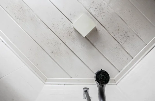 Start Mold Build Bathroom Ceiling Still Simple Cleaning Solution Ceiling — Stok Foto