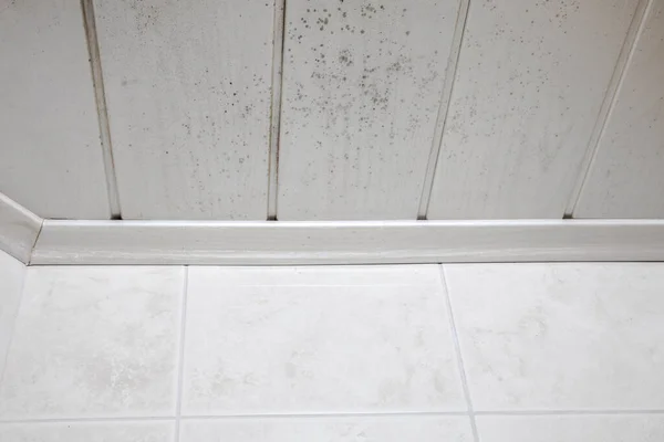 Start Mold Build Bathroom Ceiling Still Simple Cleaning Solution Ceiling — Stok Foto