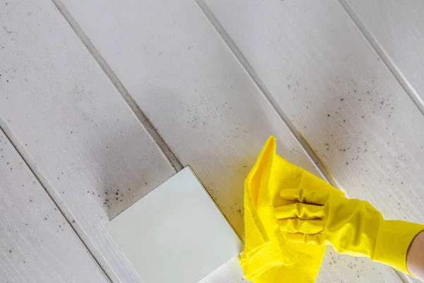 Housekeepers Female Hand Yellow Glove Cleaning Mold Ceiling Sponge Copy — Stok Foto