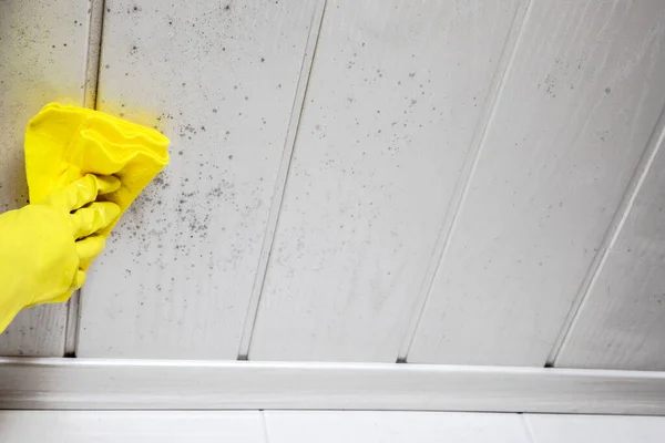 Gospodyni Lub Kobieta Ręka Żółtą Rękawicą Czyszczenie Mold Sufitu Sponge — Zdjęcie stockowe
