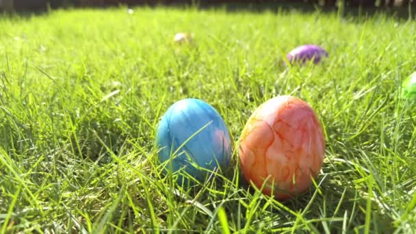 Easter Eggs Hidden Green Grass Ready Easter Egg Hunt Game — Wideo stockowe