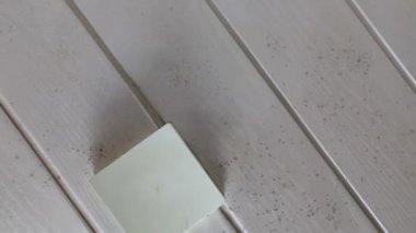 Moving shot from mold on ceiling in the bathroom, Condensation on walls, ceilings. Footage of bathroom with high humidity, moisture, or water damage. Toxic black mold and fungus. close up 4k