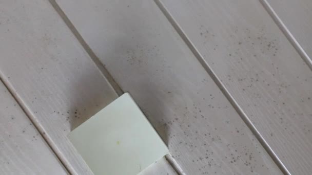 移动镜头从模具在天花板上的浴室 凝集在墙壁上 天花板 湿度高 湿度高或水害大的浴室的形象 有毒的黑色霉菌和真菌 收尾4K — 图库视频影像