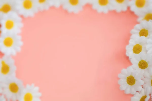 Frühlings Gänseblümchen Rahmen Weiße Blumen Vor Sanftem Rosa Pastellhintergrund Minimalistisches — Stockfoto